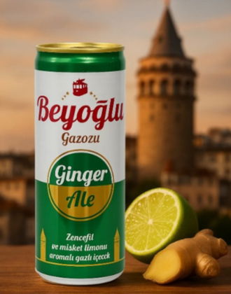 Beyoğlu Ginger Ale Kutu